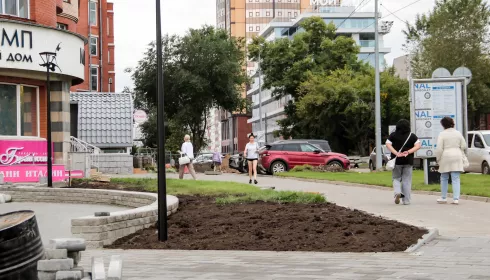 Место Достоевского: как выглядит площадка для памятника классику в центре Барнаула