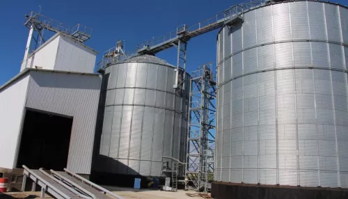 Аграриев Алтайского края обеспечат газом для сушки промокшего зерна 