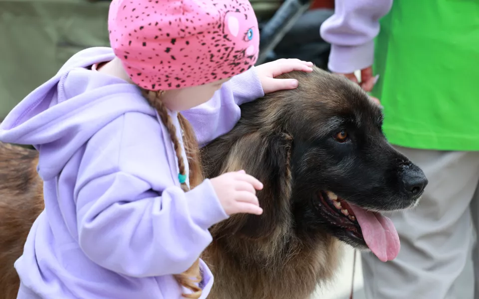 Море любви и сладких булочек: в Барнауле прошел фестиваль питомцев Лапки-тапки
