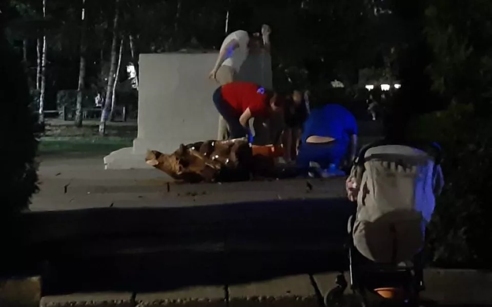 Трагедия в саратовском парке: маленькую девочку убила 140-килограммовая фигура кота