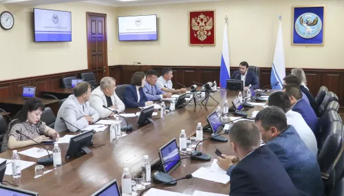 Рабочие места и пополнение казны: какие проекты получили статус региональных в Республике Алтай