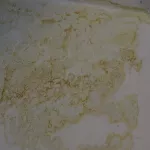 Дом на Деповской в Барнауле находится в плачевном состоянии из-за протекающей крыши