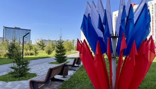 Улицы Барнаула в преддверии праздника украсили флагами России. Фото триколора