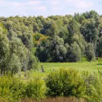 Дебри, болота, рыбацкие тропы: чем живет протостуденческий остров посреди Оби. Фото