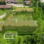 Часть царского спиртпроизводства в Алтайском крае продадут с молотка