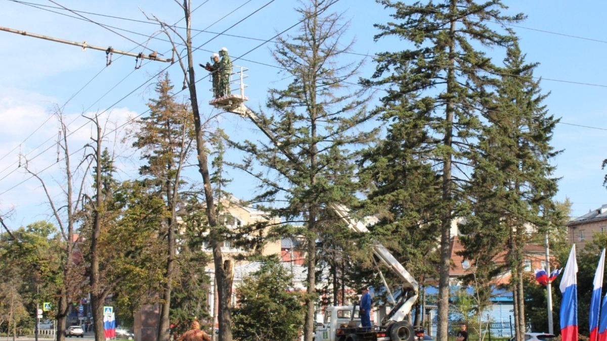 Снос аварийных деревьев в Барнауле
