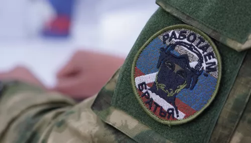 Проект СВОй бизнес стартует в Алтайском крае: подробности