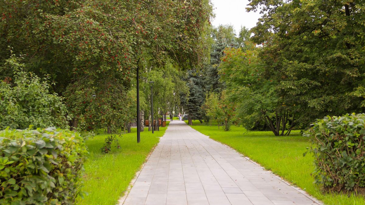 Пасмурно. Погода.