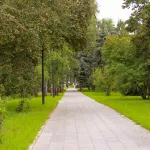 К выходным в Алтайский край пришла мокрая погода с грозами и ветром