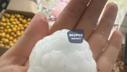 Погибли птицы и урожай: град размером с куриное яйцо обрушился на алтайское село