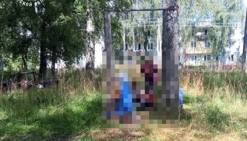 Веревочные качели насмерть задушили семилетнего мальчика