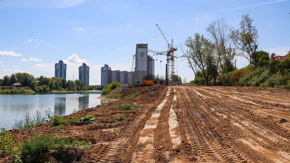 Берег Барнаульского ковша. Август 2025 год