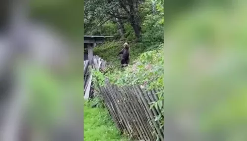 Медведь навестил жителей села Элекмонар в Республике Алтай. Видео