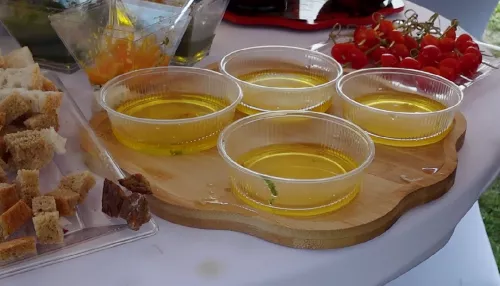В Барнауле прошел масштабный семейный фестиваль Алтайские бренды
