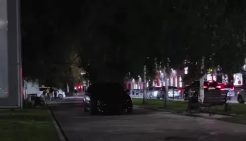 В Барнауле тонированная иномарка проехалась по аллее на проспекте Ленина. Видео