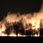В МЧС рассказали о произошедших 13 апреля под Барнаулом травяных палах