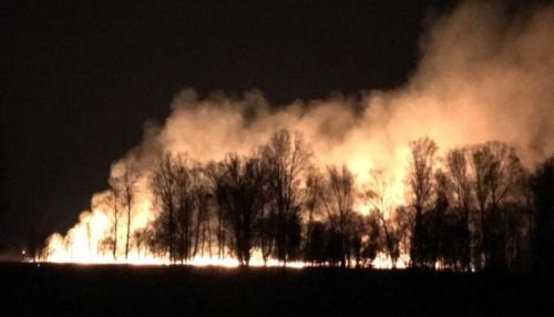 В МЧС рассказали о произошедших 13 апреля под Барнаулом травяных палах