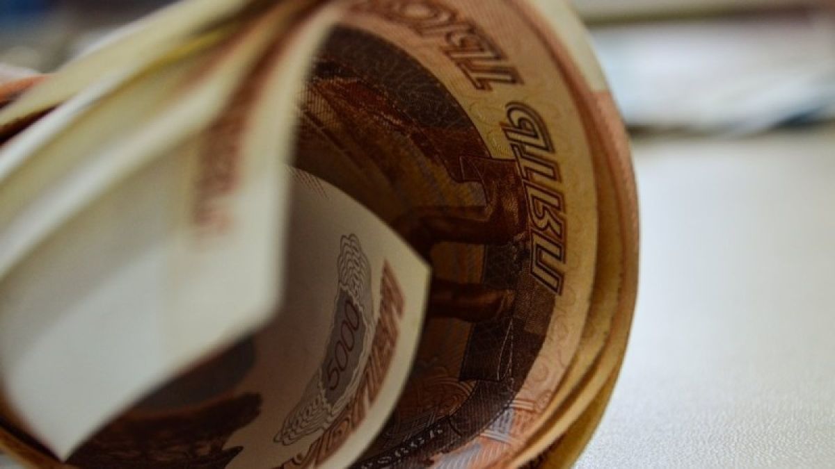 Деньги и имущество: депутаты Госдумы из Алтайского края отчитались о доходах