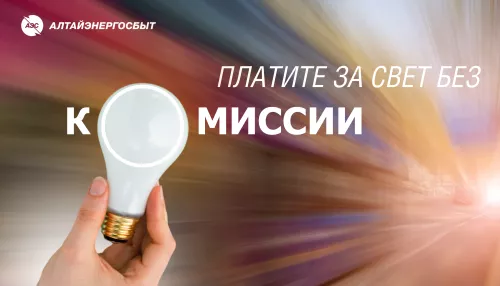 Алтайэнергосбыт рассказал о простых способах оплаты электроэнергии