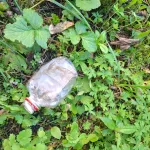 В Алтайском крае 11-летний мальчик хотел потушить горящую бутылку и попал в больницу