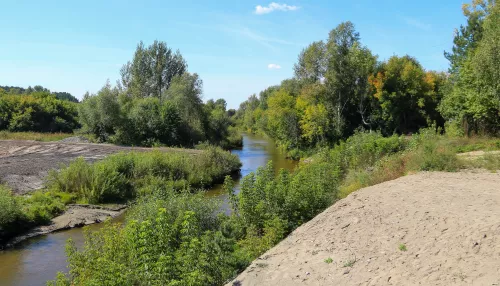 Жительница краевой столицы предложила создать Аллею памяти участников СВО