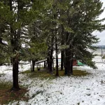 В последний день лета Горный Алтай накрыл снегопад