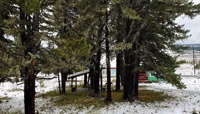 В последний день лета Горный Алтай накрыл снегопад