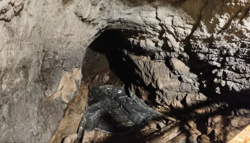 Следы денисовского человека нашли в двух пещерах в Алтайском крае