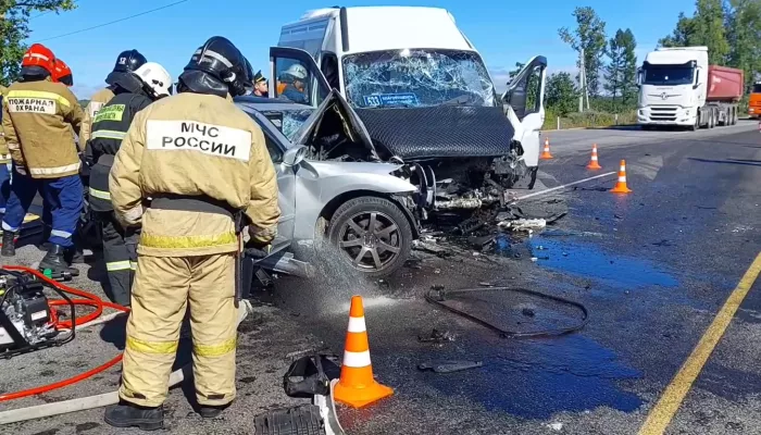 19 человек пострадали в ДТП с маршруткой в Амурской области