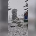 Семинский перевал в Республике Алтай вновь усыпало снегом. Видео