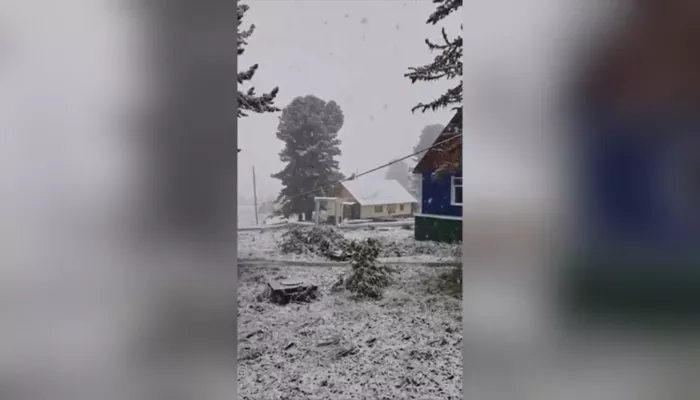 Семинский перевал в Республике Алтай вновь усыпало снегом. Видео