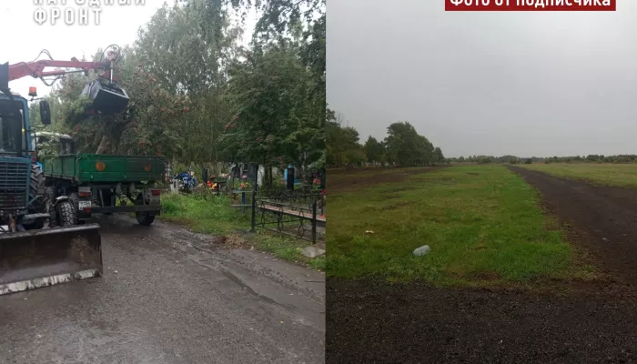 Кладбище в Камне-на-Оби очистили от мусора, но дорога по-прежнему разбита