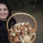 Где искать белые, маслята и грузди в Алтайском крае. Карта грибных мест