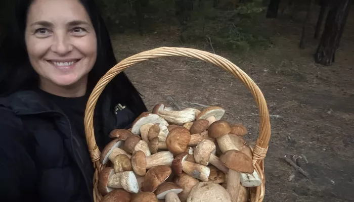Где искать белые, маслята и грузди в Алтайском крае. Карта мест