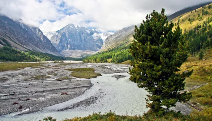 Большая перезагрузка: новые подходы к развитию туризма открывают перед Горным Алтаем большие возможности