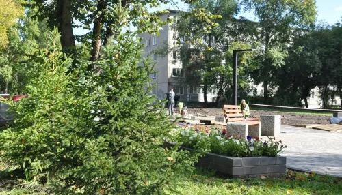 В Барнауле продолжается масштабное благоустройство сквера на улице Антона Петрова