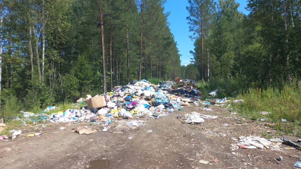 Незаконная свалка в Турочакском районе