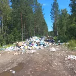 В Республике Алтай убрали нелегальную свалку после вмешательства прокуратуры