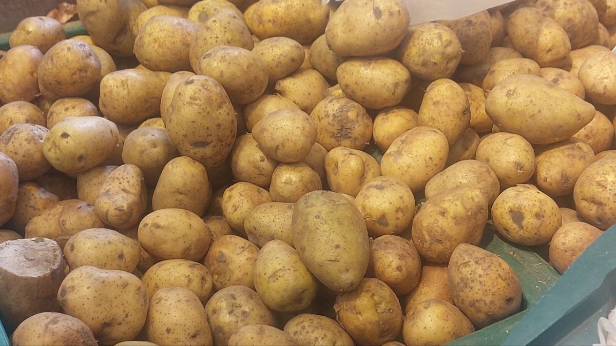 Картофель