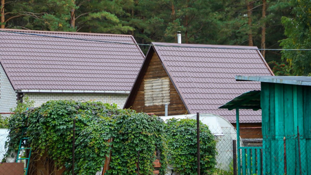 СНТ "Мичуринцев"