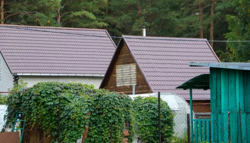 Садоводства в Алтайском крае смогут войти в состав городов, но на жестких условиях