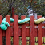 Дачники против банщиков. Сработает ли в Алтайском крае запрет на ведение бизнеса в СНТ