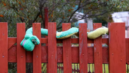 Дачники против банщиков. Сработает ли в Алтайском крае запрет на ведение бизнеса в СНТ