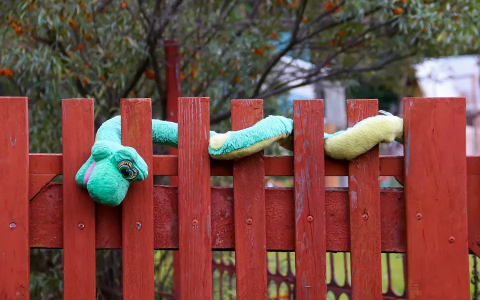 Российских дачников начнут штрафовать за неиспользуемые участки и борщевик