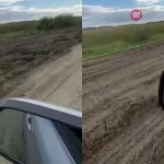 Жалобы жителей Алтайского края на дорожное месиво дошли до Бастрыкина: начата проверка