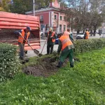 Ученые, депутаты и общественники обсудили, каким должен быть зеленый Барнаул