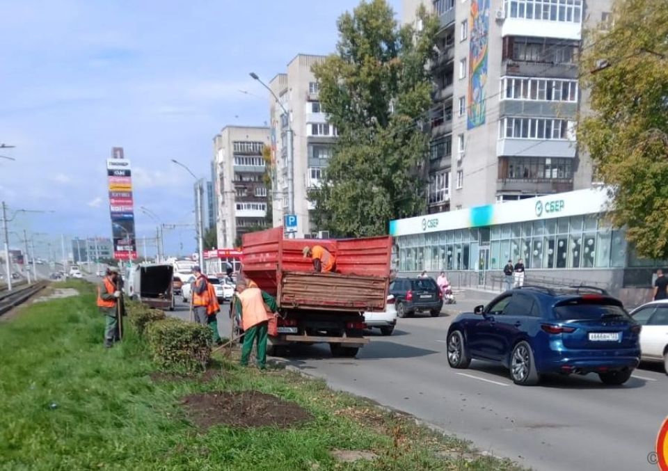 Озеленение улиц Барнаула