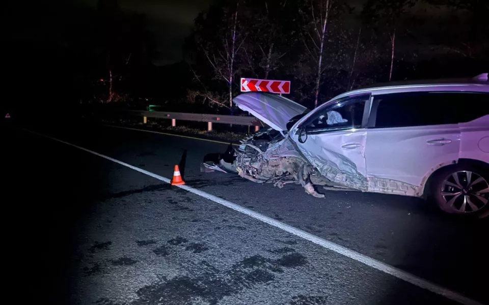 Пьяный водитель вылетел на встречку и устроил ДТП с двумя пострадавшими на Алтае