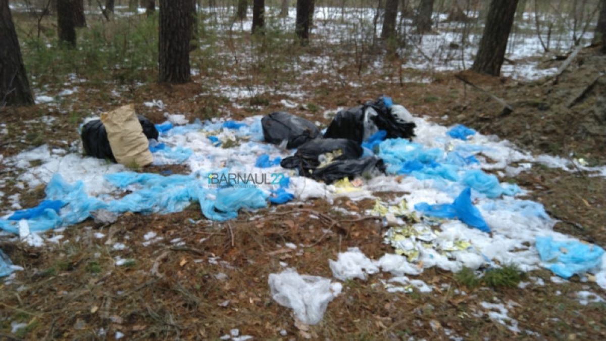 Свалку мусора обнаружили в лесу под Павловском