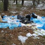 Свалку мусора обнаружили в лесу под Павловском